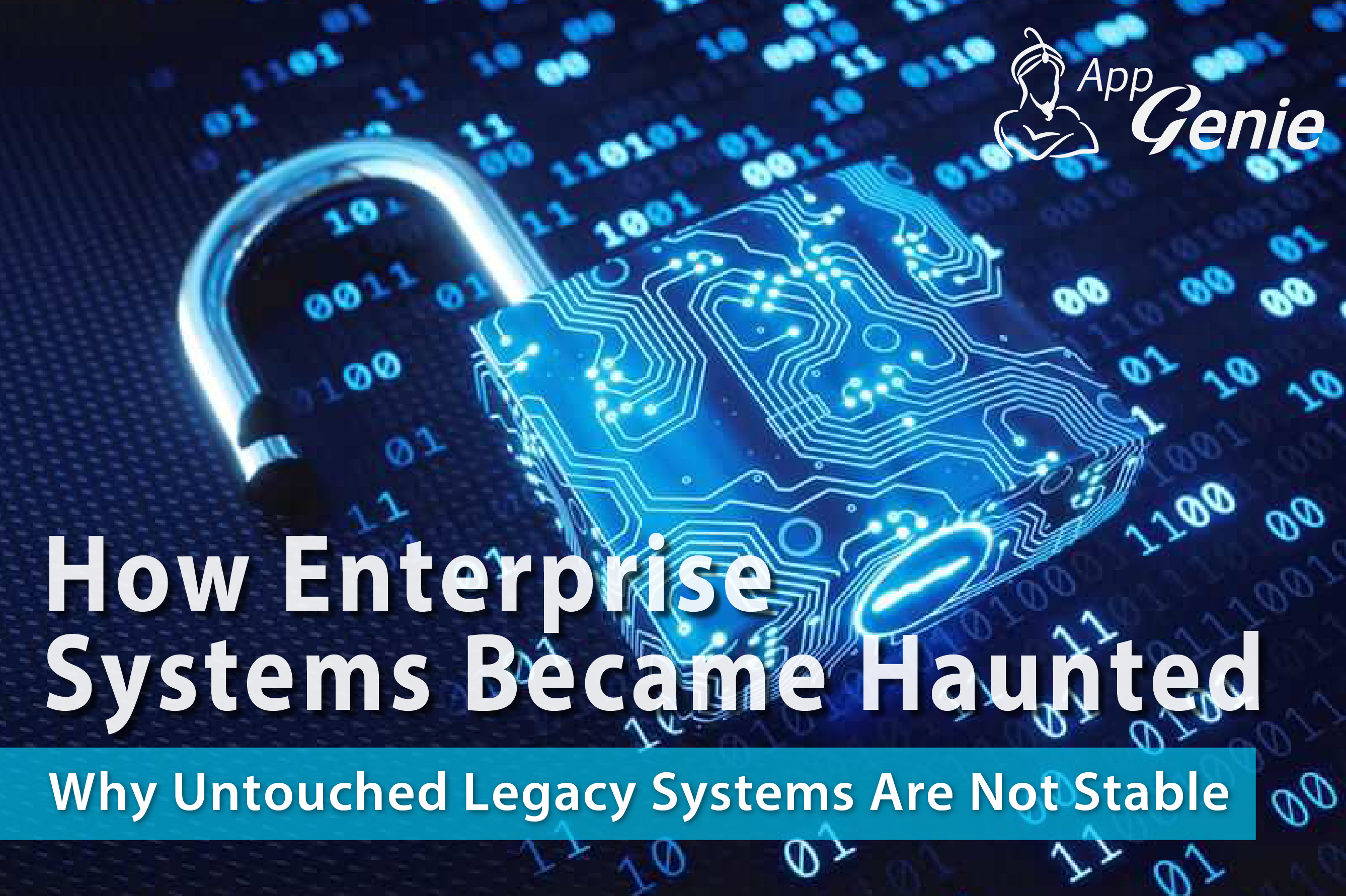 How Enterprise Systems Become Haunted